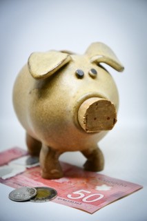 piggy-bank